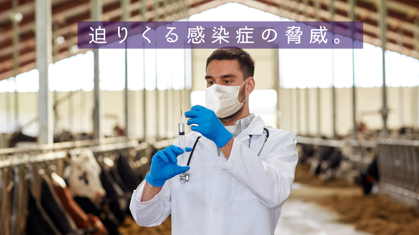 動物の感染症〈第4版〉 2025年最新】 牛に迫る感染症の脅威！国内外の最新状況と対策 -
